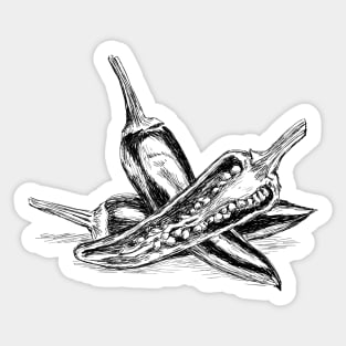 Chili Pepper Print Sticker